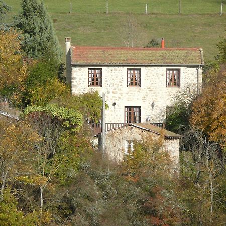 Villa Gite La Grange De L'Effraie Beauzac Exterior foto